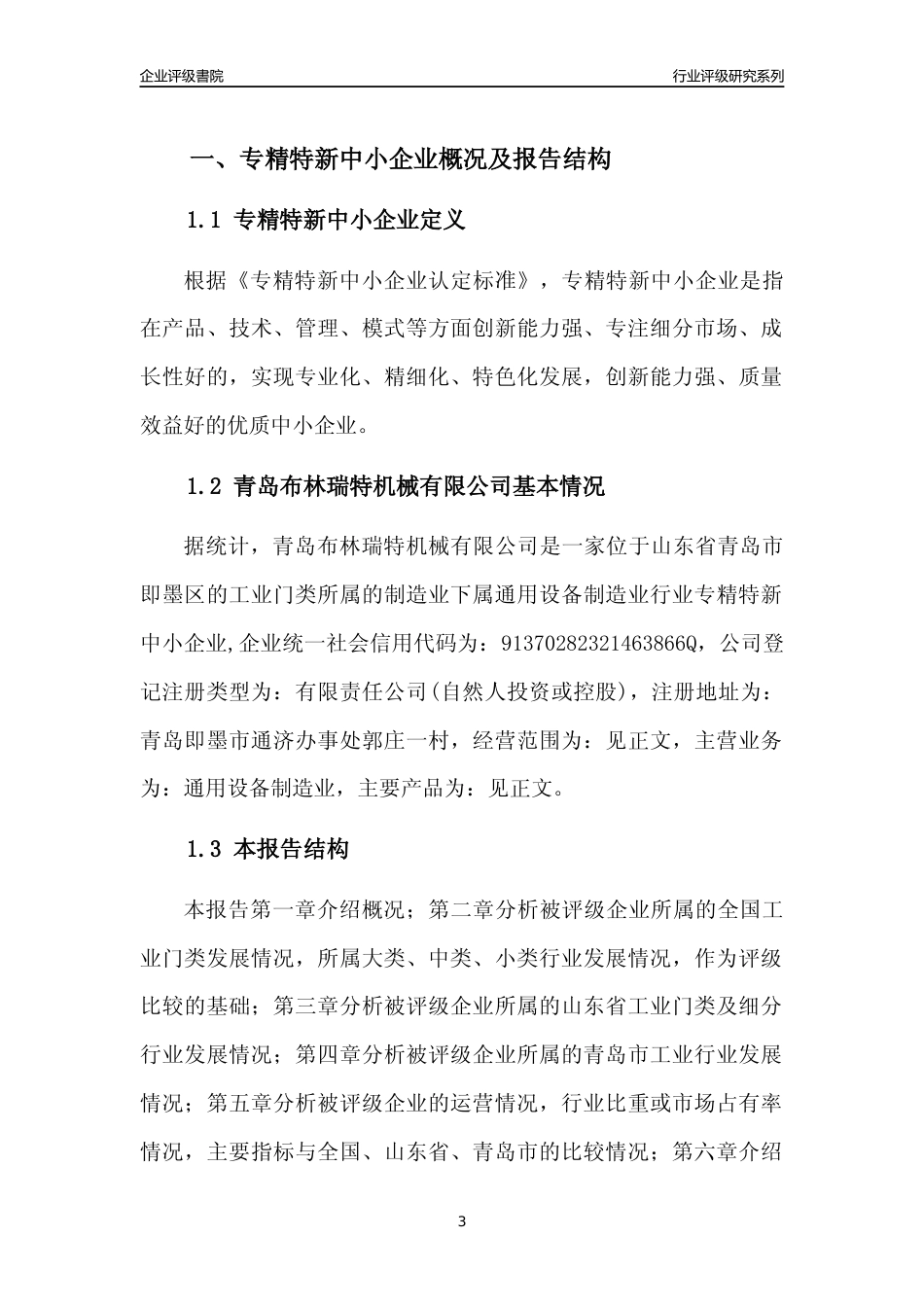 [专精特新]2022年青岛布林瑞特机械有限公司行业竞争力评级分析报告(2023版)_第3页