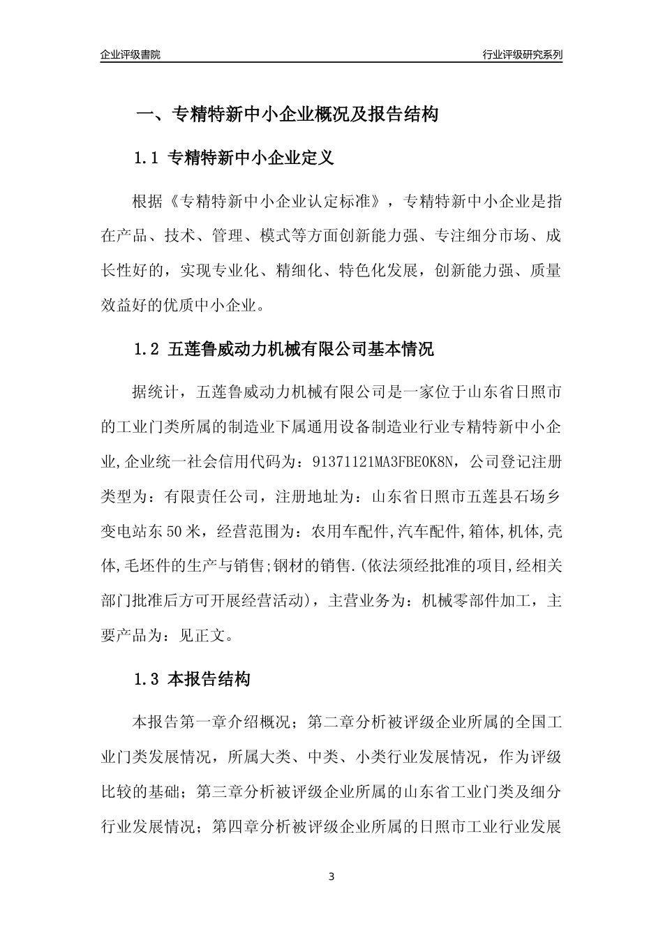 [专精特新]2022年五莲鲁威动力机械有限公司行业竞争力评级分析报告(2023版)_第3页
