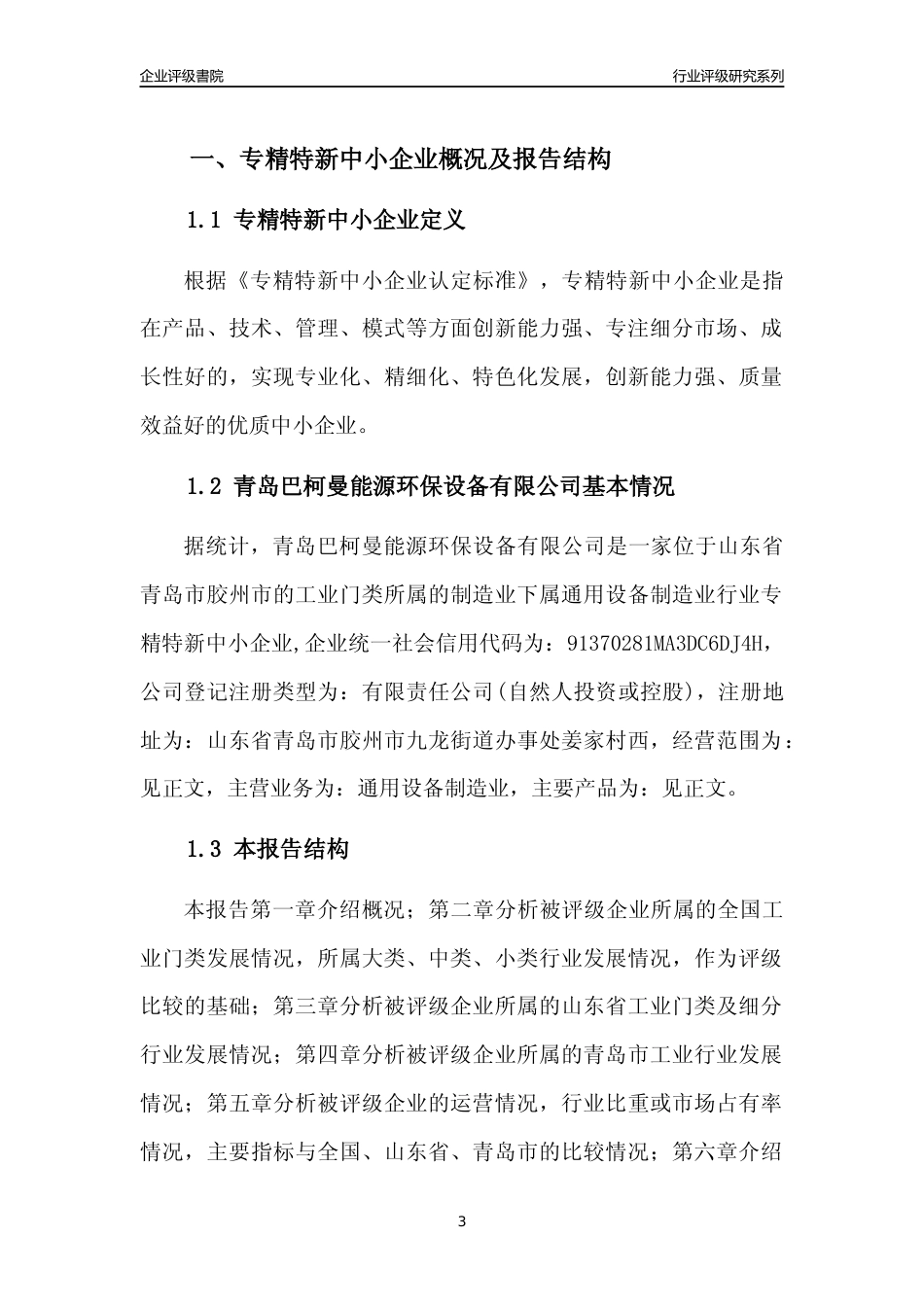 [专精特新]2022年青岛巴柯曼能源环保设备有限公司行业竞争力评级分析报告(2023版)_第3页