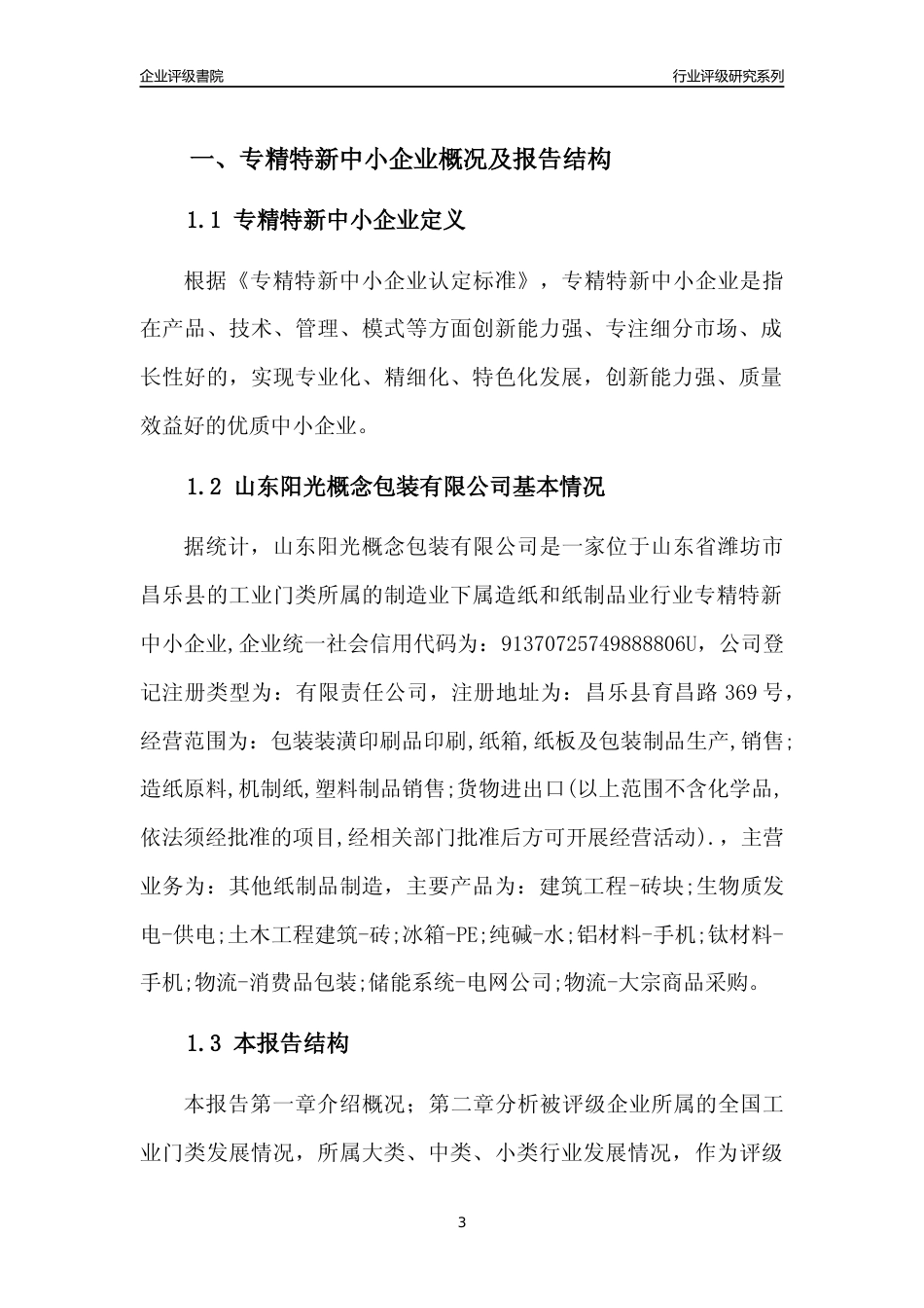 [专精特新]2022年山东阳光概念包装有限公司行业竞争力评级分析报告(2023版)_第3页