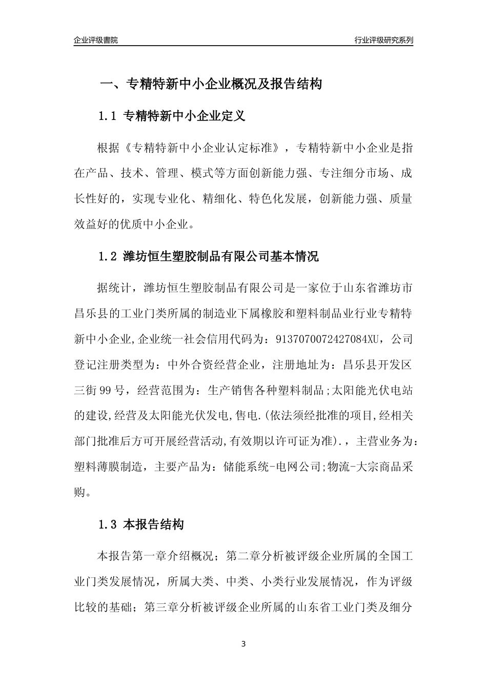 [专精特新]2022年潍坊恒生塑胶制品有限公司行业竞争力评级分析报告(2023版)_第3页