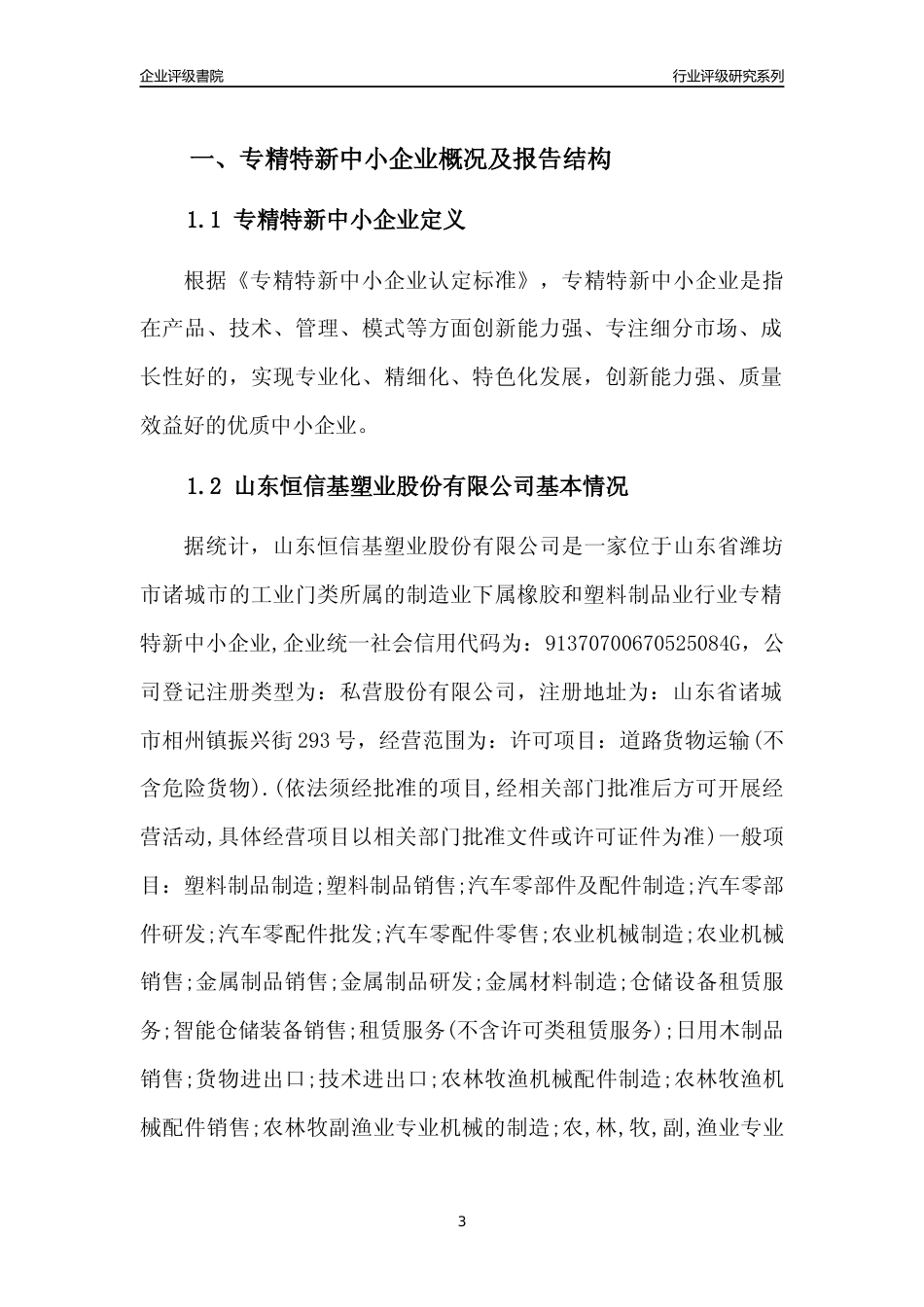[专精特新]2022年山东恒信基塑业股份有限公司行业竞争力评级分析报告(2023版)_第3页