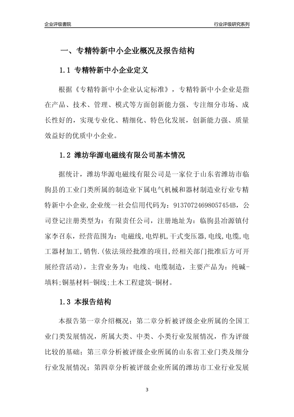 [专精特新]2022年潍坊华源电磁线有限公司行业竞争力评级分析报告(2023版)_第3页