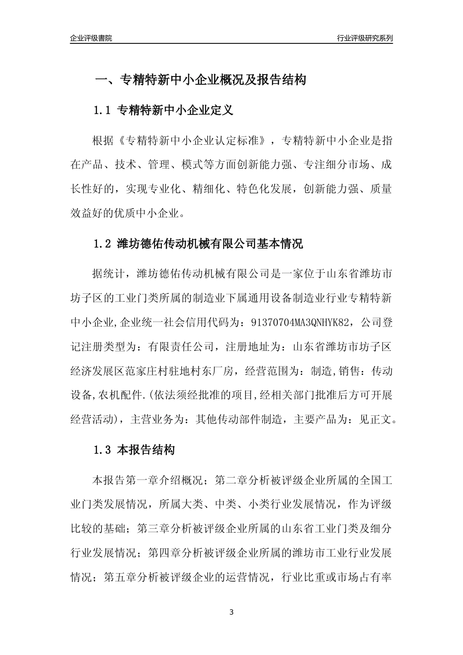 [专精特新]2022年潍坊德佑传动机械有限公司行业竞争力评级分析报告(2023版)_第3页