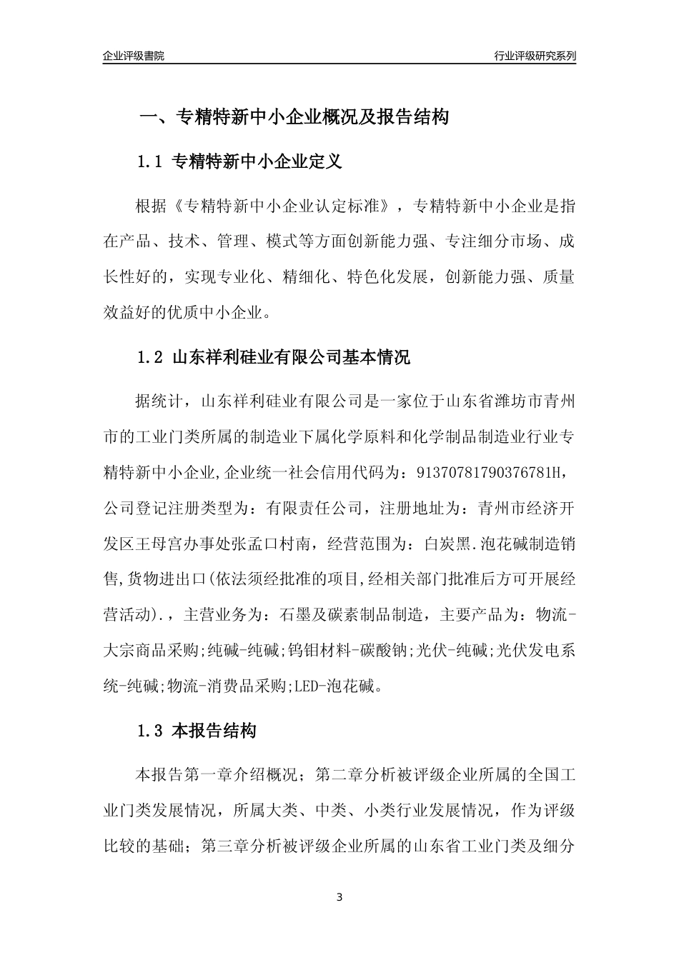 [专精特新]2022年山东祥利硅业有限公司行业竞争力评级分析报告(2023版)_第3页