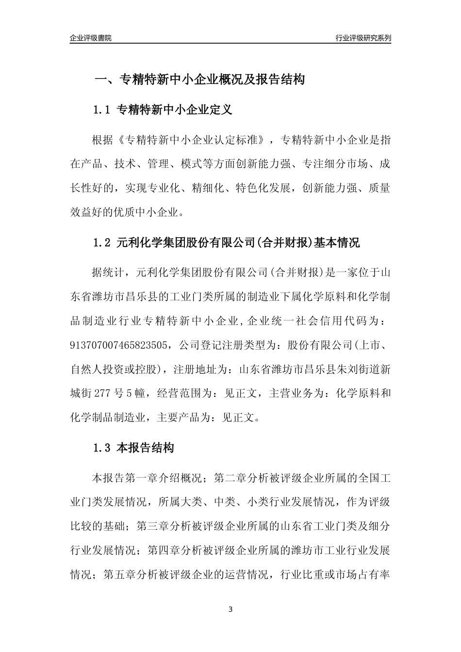 [专精特新]2022年元利化学集团股份有限公司(合并财报)行业竞争力评级分析报告(2023版)_第3页