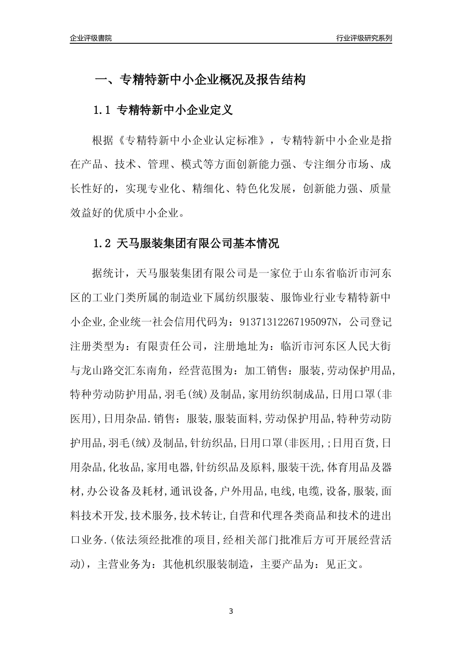 [专精特新]2022年天马服装集团有限公司行业竞争力评级分析报告(2023版)_第3页