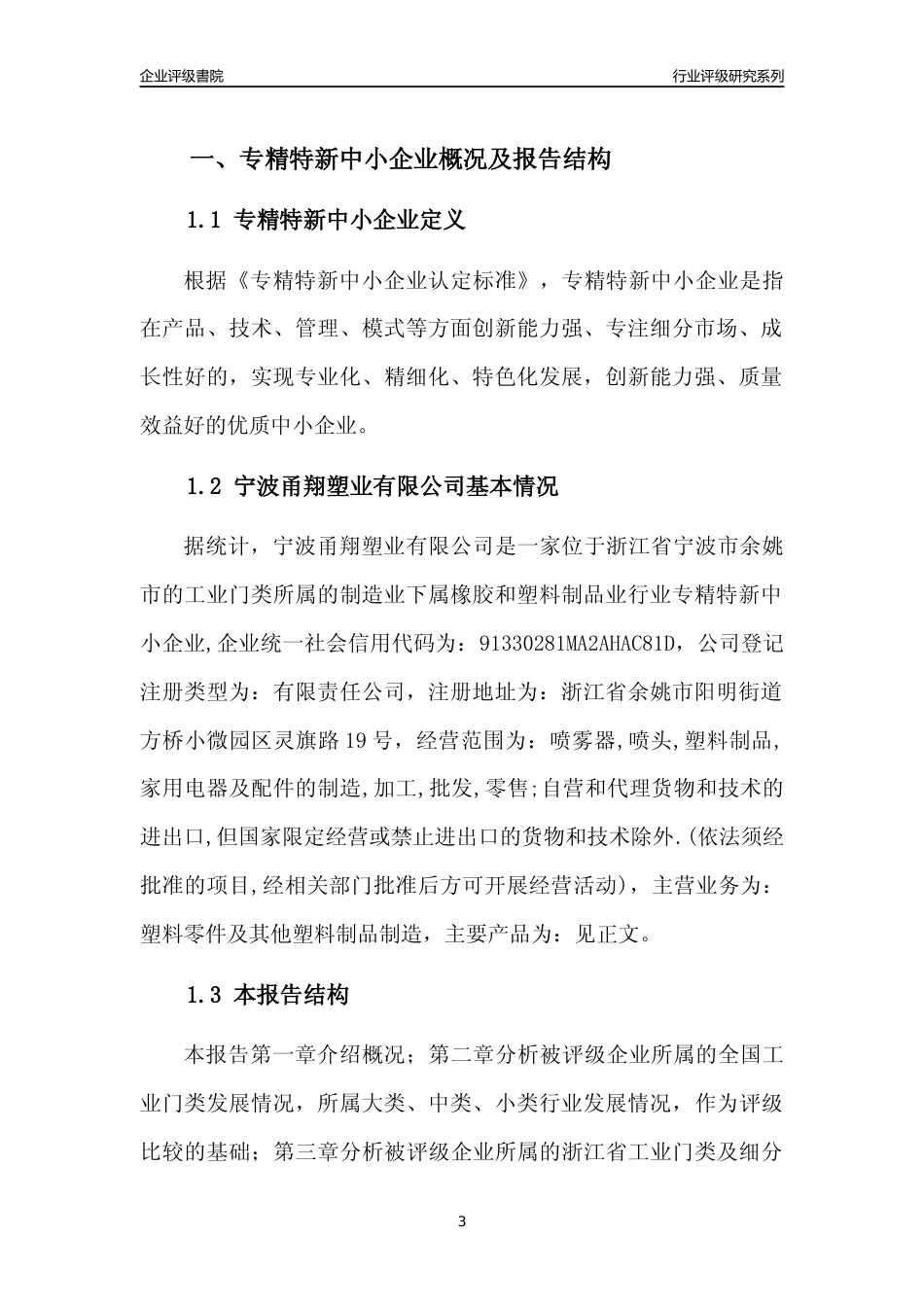 [专精特新]2022年宁波甬翔塑业有限公司行业竞争力评级分析报告(2023版)_第3页