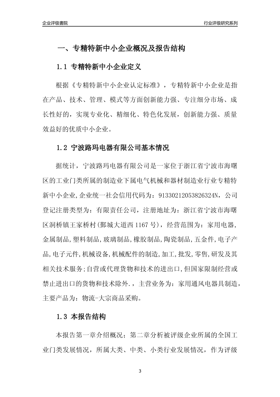 [专精特新]宁波路玛电器有限公司行业竞争力评级分析报告(2023版)_第3页