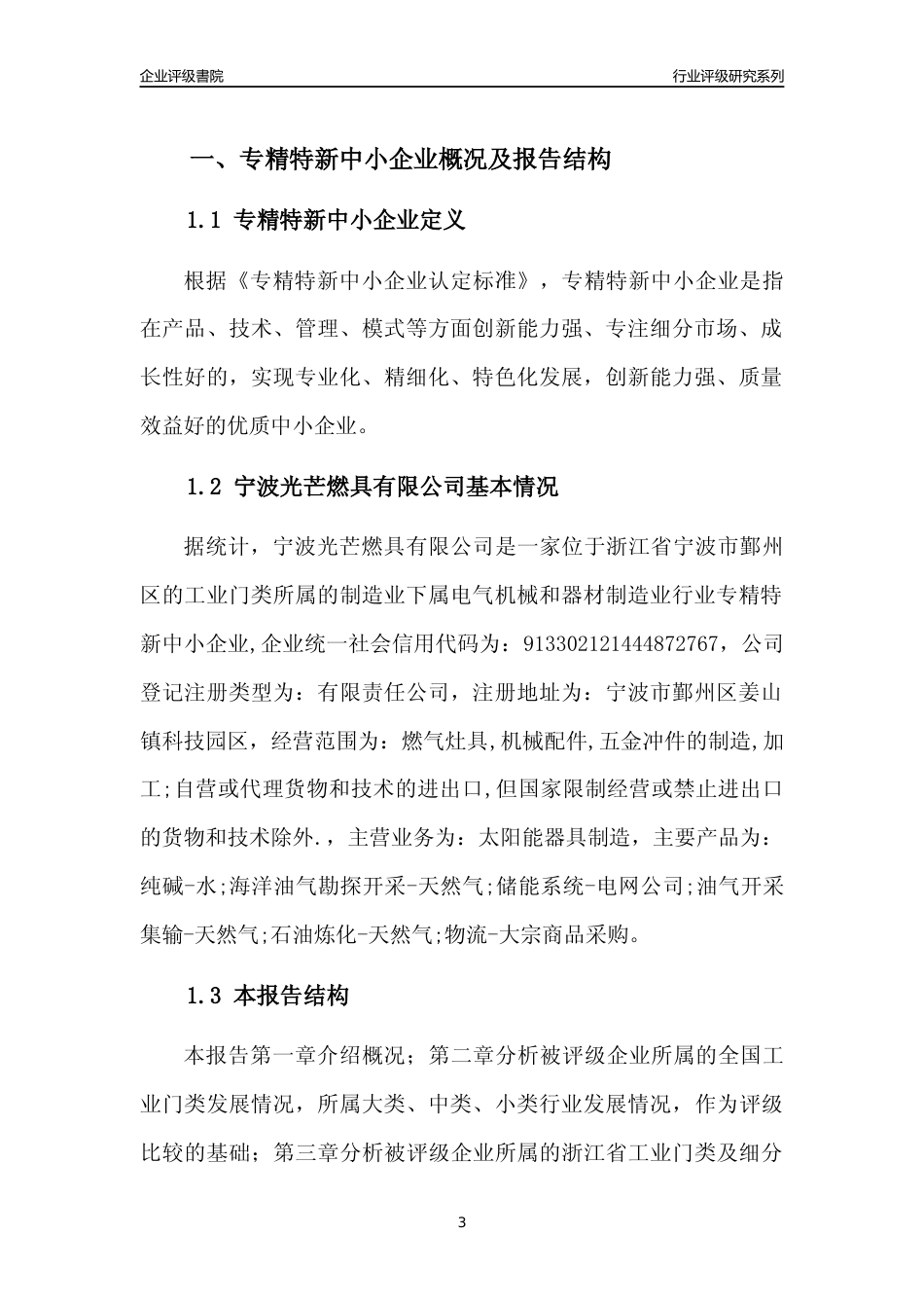 [专精特新]2022年宁波光芒燃具有限公司行业竞争力评级分析报告(2023版)_第3页