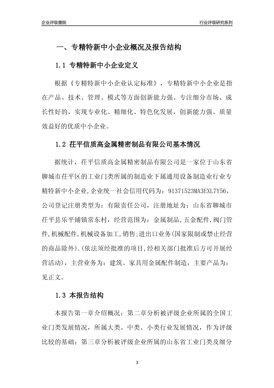 [专精特新]2022年茌平信质高金属精密制品有限公司行业竞争力评级分析报告(2023版)_第3页