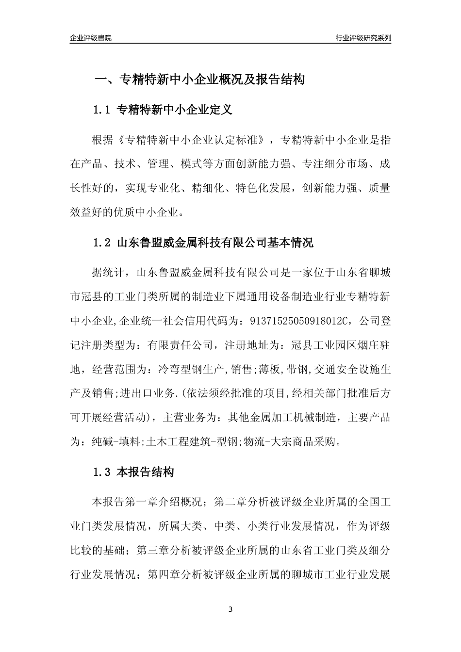 [专精特新]2022年山东鲁盟威金属科技有限公司行业竞争力评级分析报告(2023版)_第3页