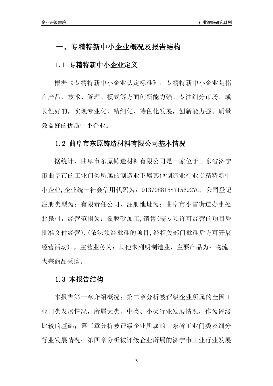 [专精特新]2022年曲阜市东原铸造材料有限公司行业竞争力评级分析报告(2023版)_第3页
