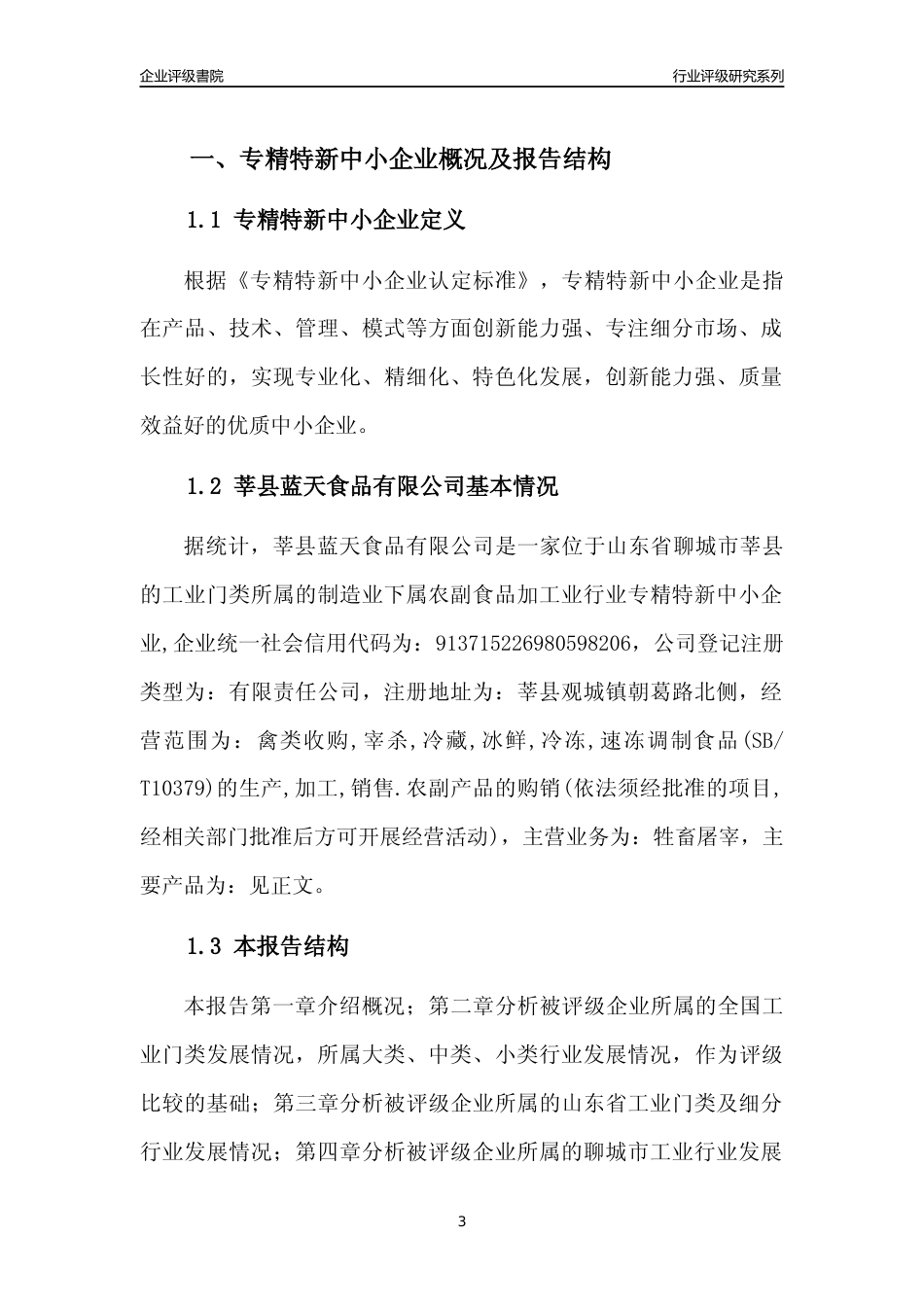 [专精特新]2022年莘县蓝天食品有限公司行业竞争力评级分析报告(2023版)_第3页