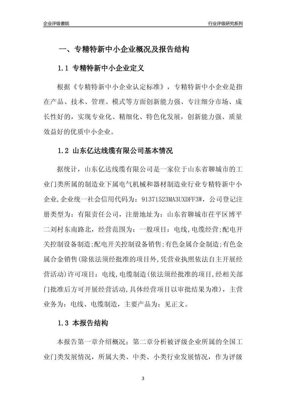[专精特新]2022年山东亿达线缆有限公司行业竞争力评级分析报告(2023版)_第3页