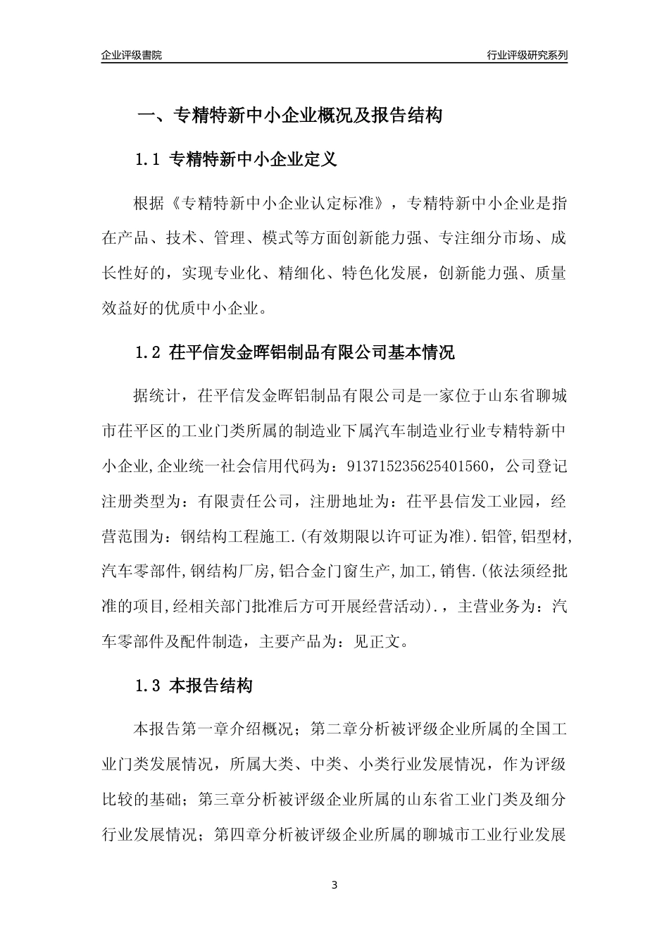 [专精特新]2022年茌平信发金晖铝制品有限公司行业竞争力评级分析报告(2023版)_第3页