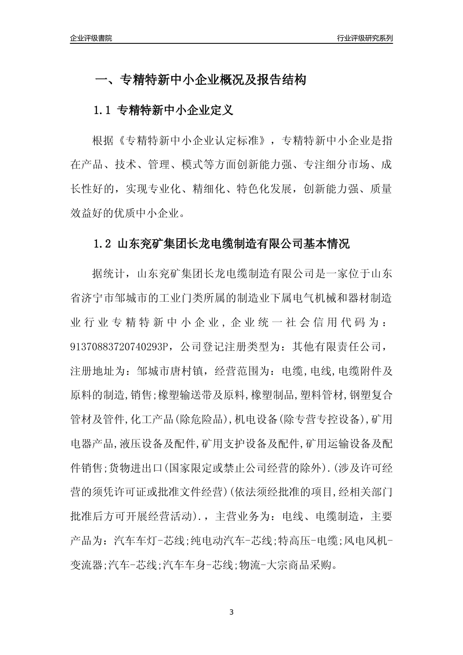 [专精特新]2022年山东兖矿集团长龙电缆制造有限公司行业竞争力评级分析报告(2023版)_第3页
