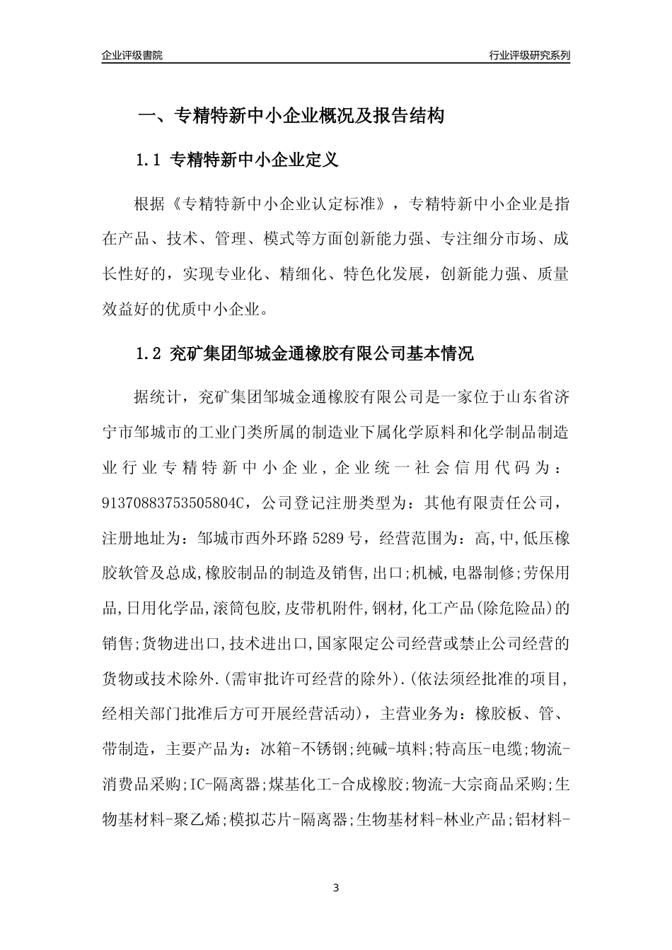 [专精特新]2022年兖矿集团邹城金通橡胶有限公司行业竞争力评级分析报告(2023版)_第3页