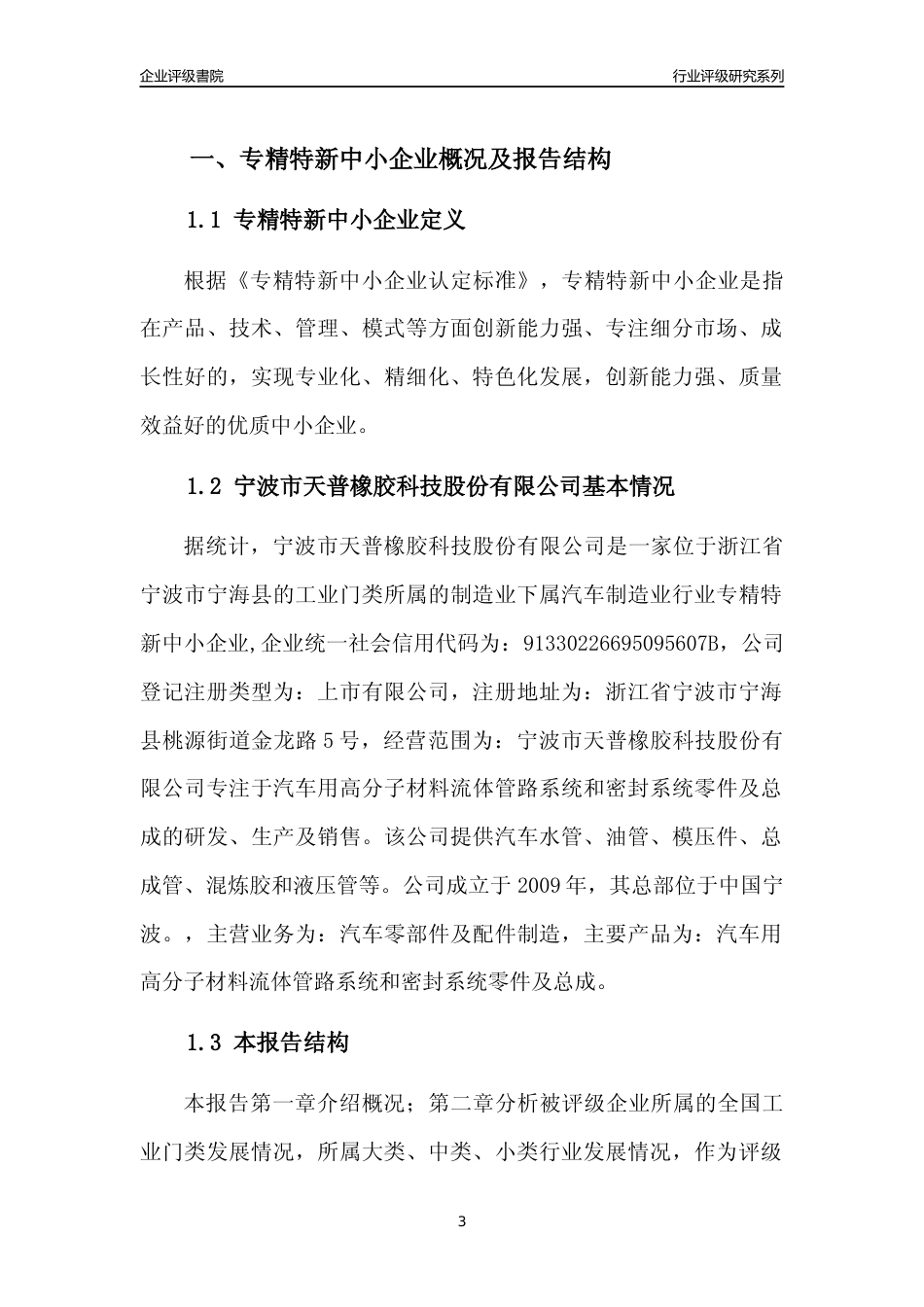[专精特新]2022年宁波市天普橡胶科技股份有限公司行业竞争力评级分析报告(2023版)_第3页