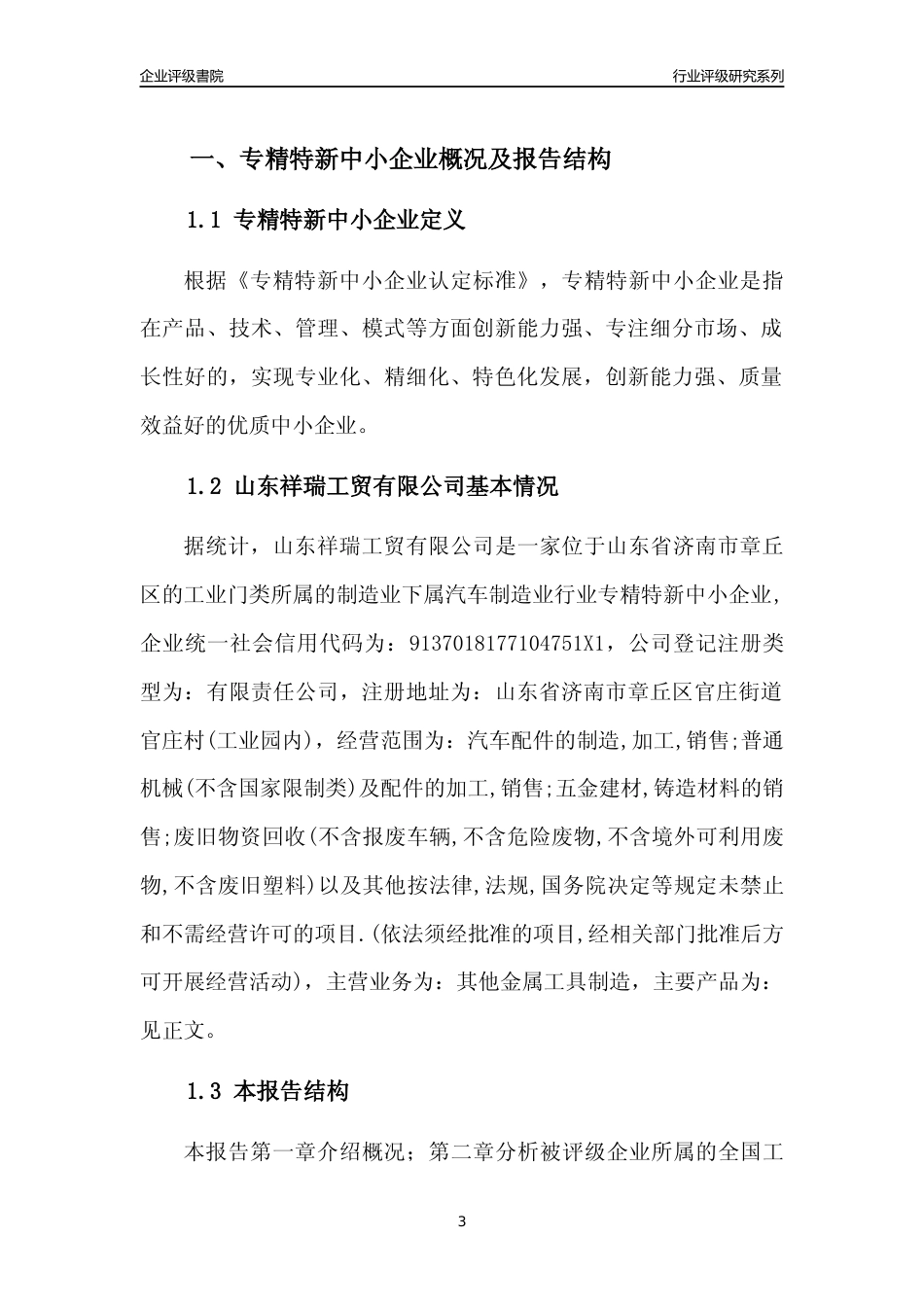 [专精特新]2022年山东祥瑞工贸有限公司行业竞争力评级分析报告(2023版)_第3页