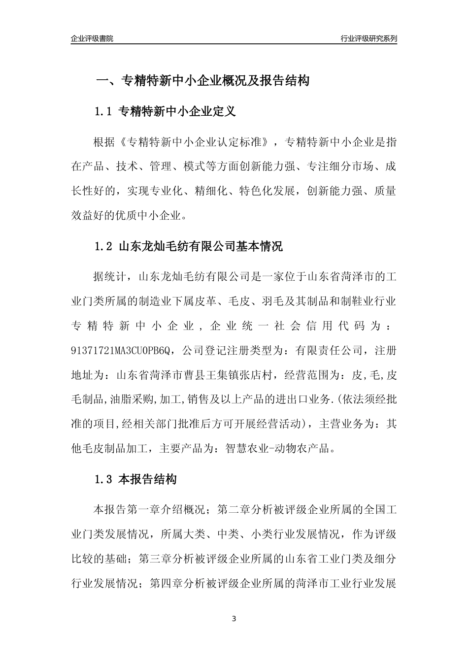 [专精特新]2022年山东龙灿毛纺有限公司行业竞争力评级分析报告(2023版)_第3页