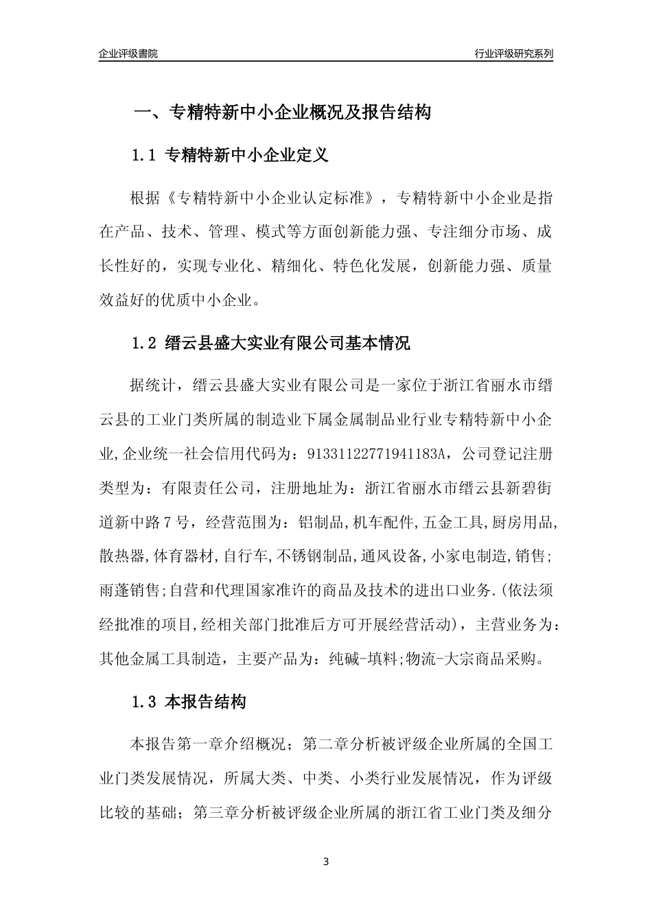 [专精特新]2022年缙云县盛大实业有限公司行业竞争力评级分析报告(2023版)_第3页