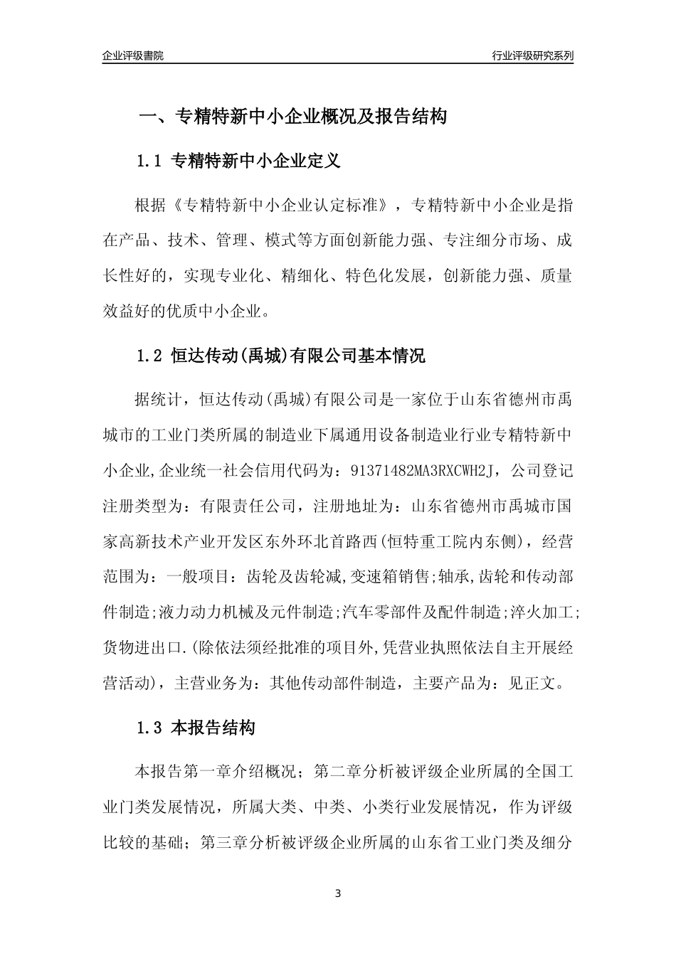 [专精特新]2022年恒达传动(禹城)有限公司行业竞争力评级分析报告(2023版)_第3页