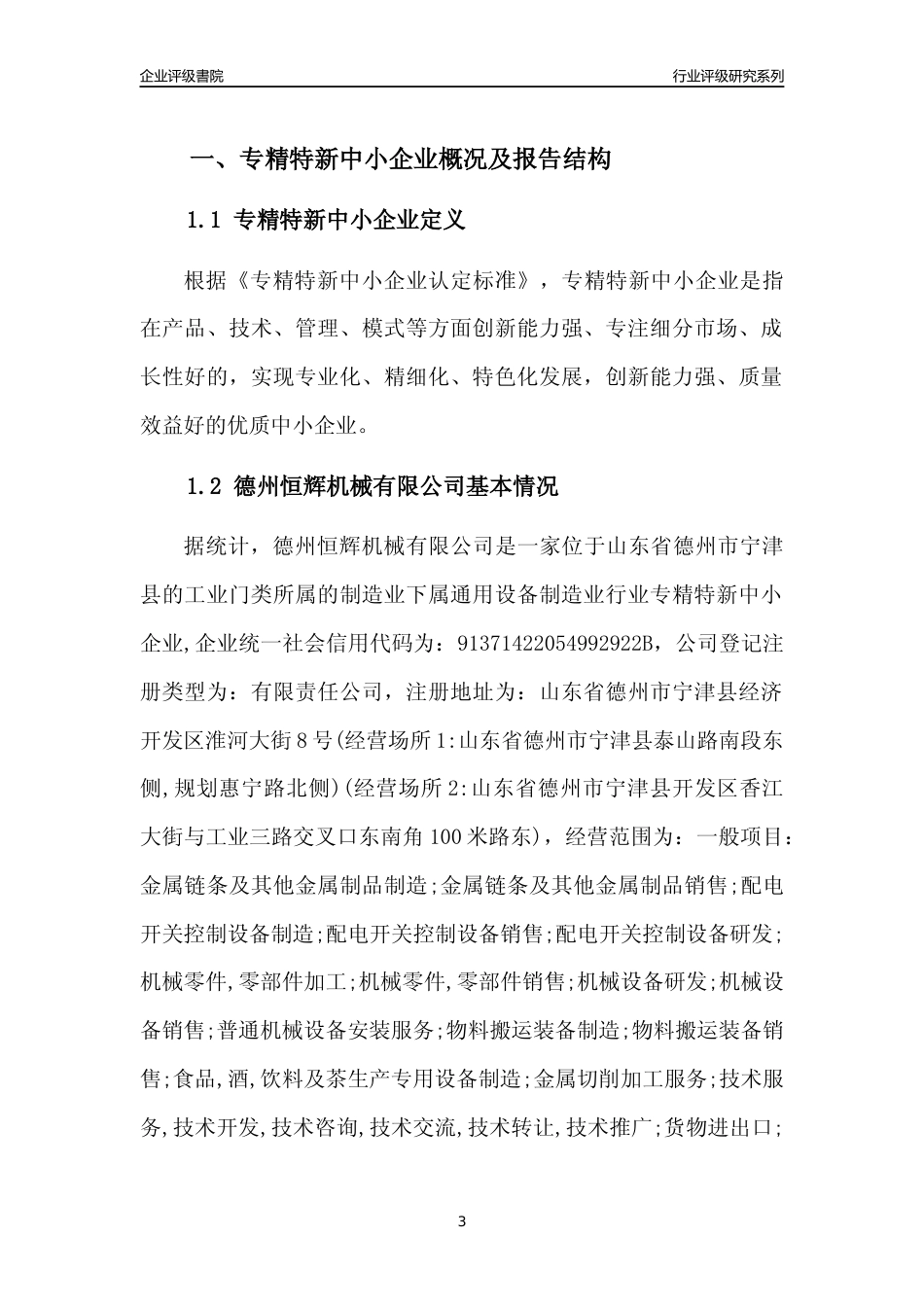 [专精特新]2022年德州恒辉机械有限公司行业竞争力评级分析报告(2023版)_第3页