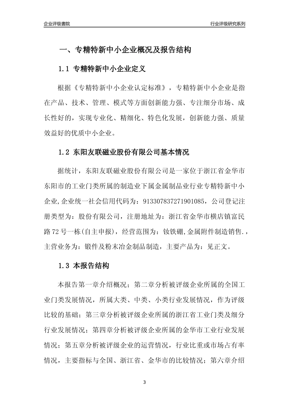 [专精特新]2022年东阳友联磁业股份有限公司行业竞争力评级分析报告(2023版)_第3页
