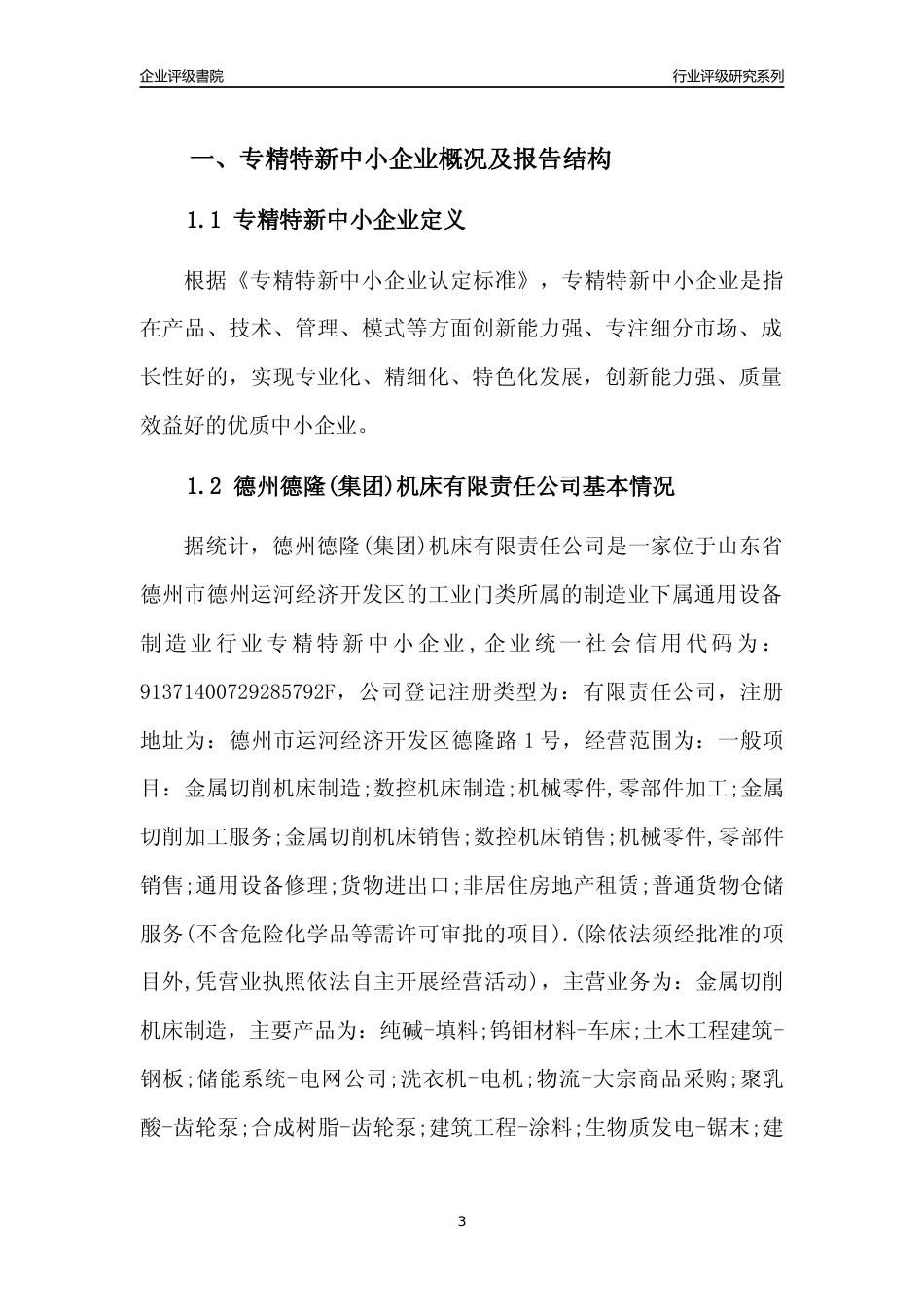 [专精特新]2022年德州德隆(集团)机床有限责任公司行业竞争力评级分析报告(2023版)_第3页