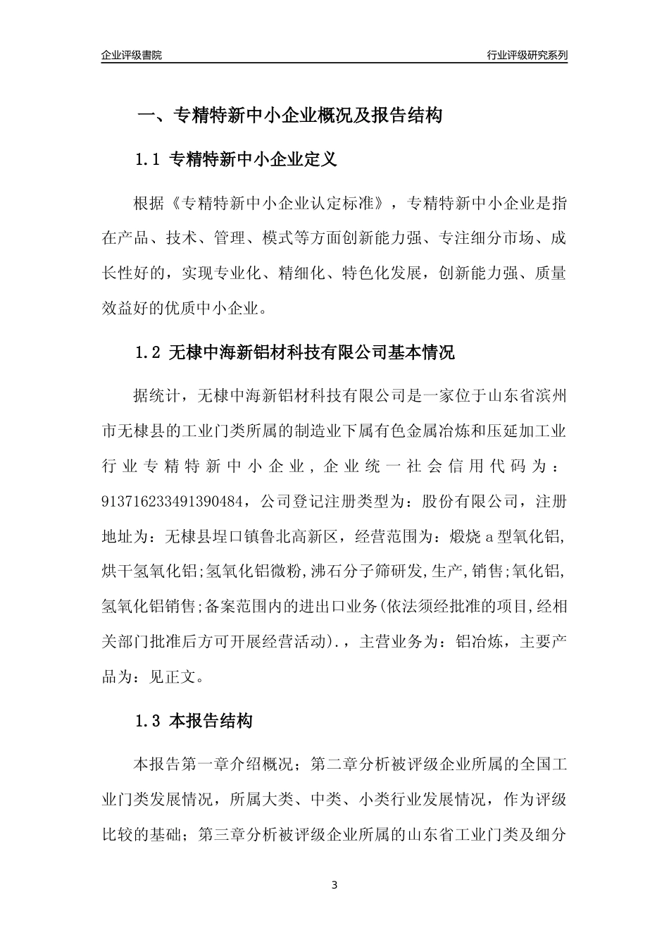 [专精特新]2022年无棣中海新铝材科技有限公司行业竞争力评级分析报告(2023版)_第3页