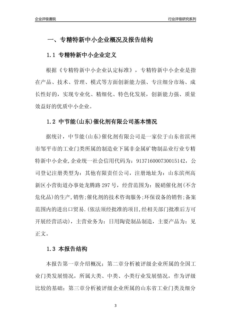 [专精特新]中节能(山东)催化剂有限公司行业竞争力评级分析报告(2023版)_第3页