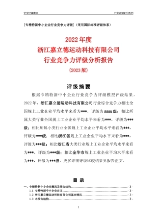 [专精特新]浙江嘉立德运动科技有限公司行业竞争力评级分析报告(2023版)