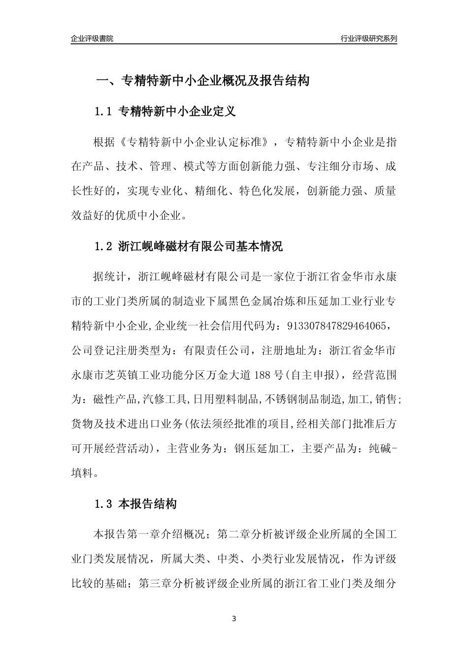 [专精特新]2022年浙江岘峰磁材有限公司行业竞争力评级分析报告(2023版)_第3页