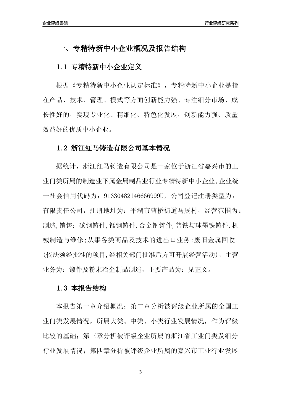 [专精特新]2022年浙江红马铸造有限公司行业竞争力评级分析报告(2023版)_第3页
