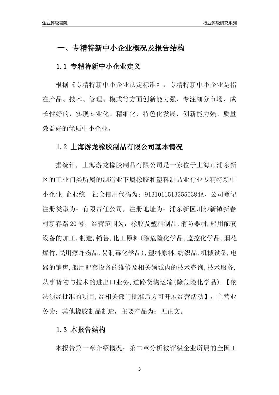 [专精特新]2022年上海游龙橡胶制品有限公司行业竞争力评级分析报告(2023版)_第3页