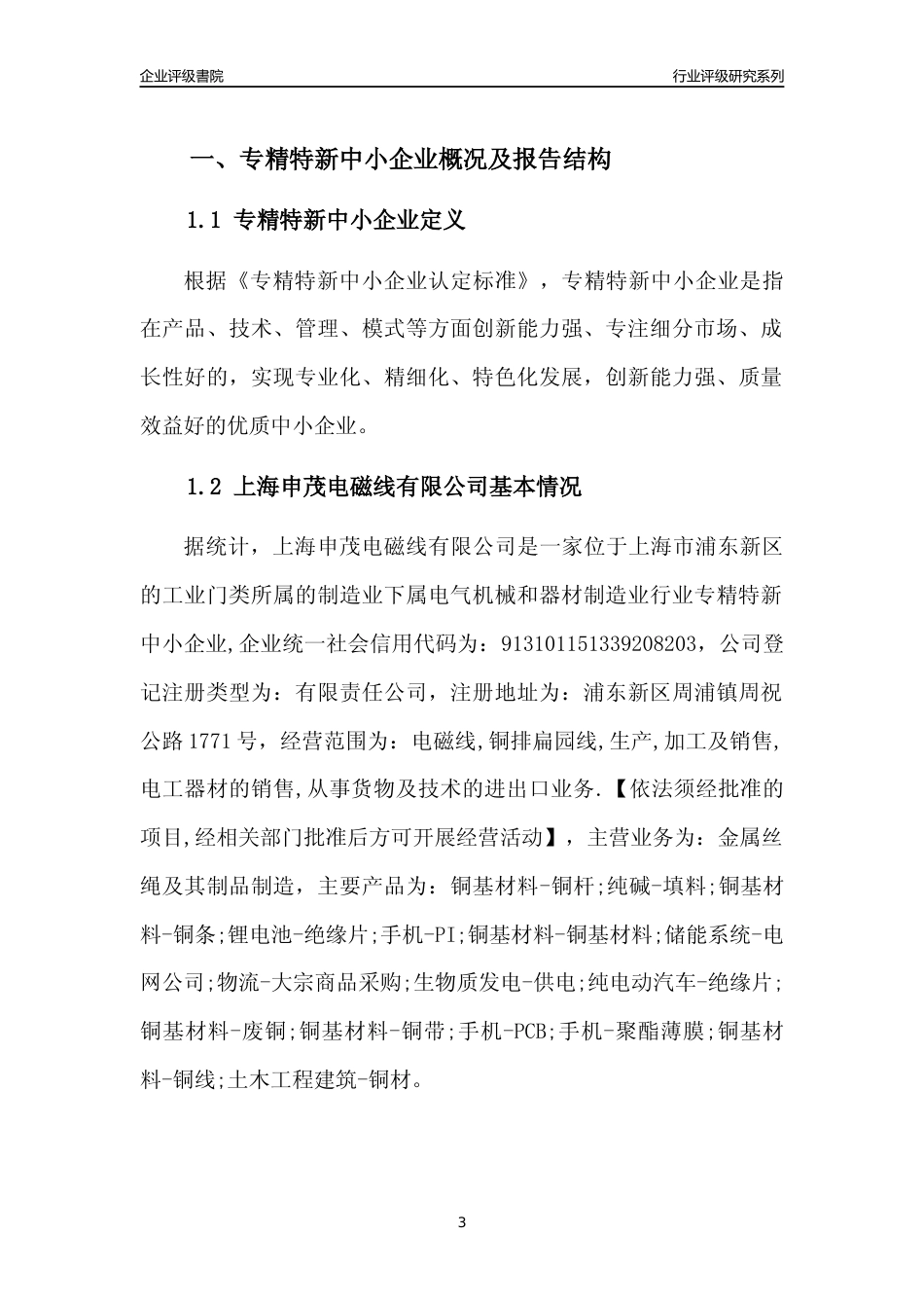 [专精特新]2022年上海申茂电磁线有限公司行业竞争力评级分析报告(2023版)_第3页