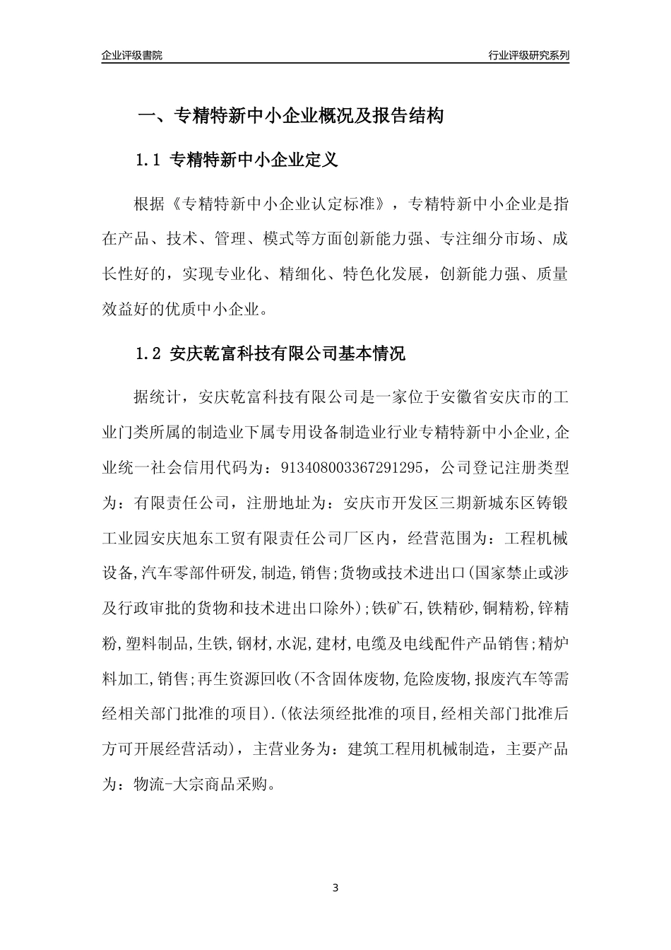 [专精特新]安庆乾富科技有限公司行业竞争力评级分析报告(2023版)_第3页