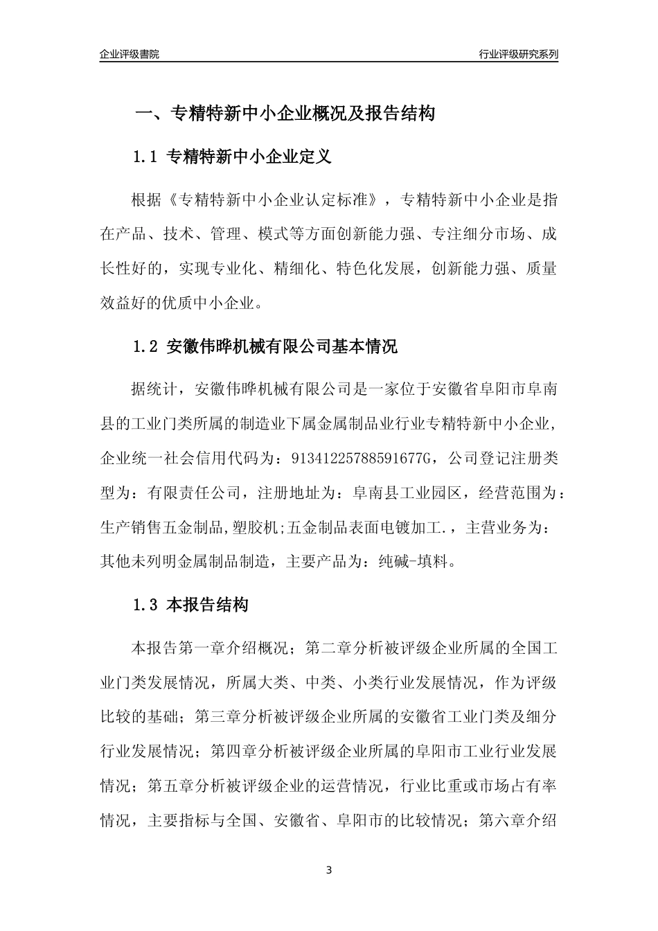 [专精特新]安徽伟晔机械有限公司行业竞争力评级分析报告(2023版)_第3页