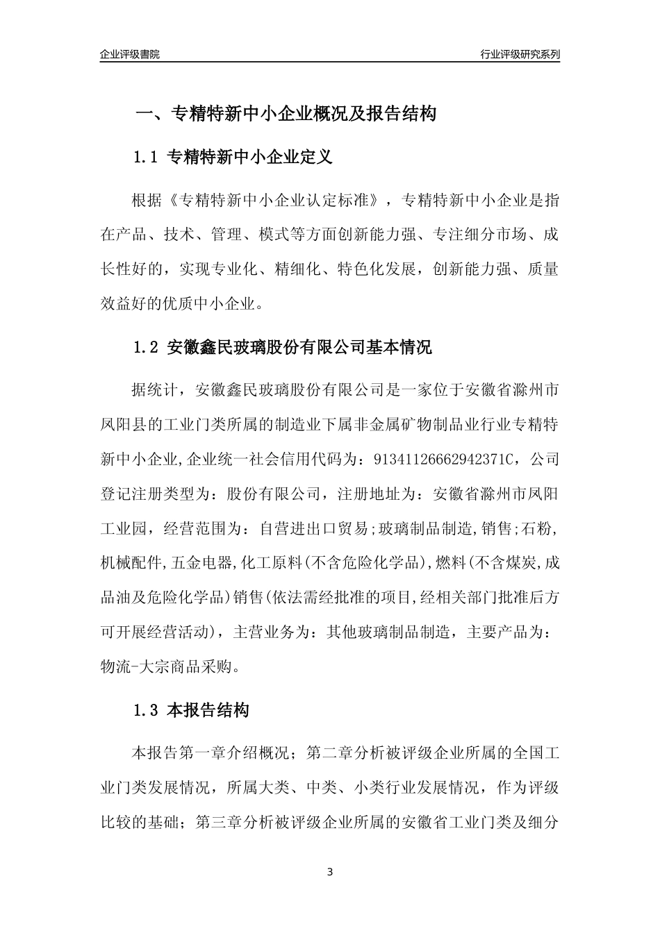 [专精特新]安徽鑫民玻璃股份有限公司行业竞争力评级分析报告(2023版)_第3页