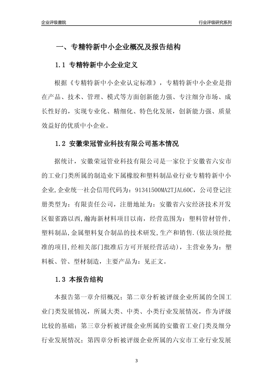 [专精特新]安徽荣冠管业科技有限公司行业竞争力评级分析报告(2023版)_第3页