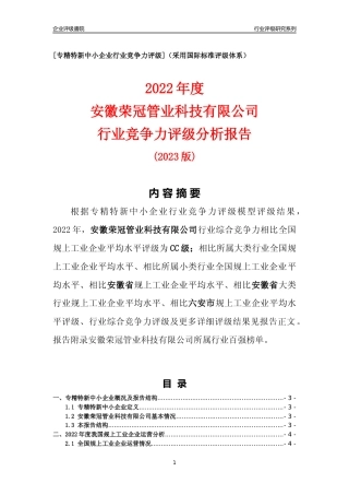[专精特新]安徽荣冠管业科技有限公司行业竞争力评级分析报告(2023版)