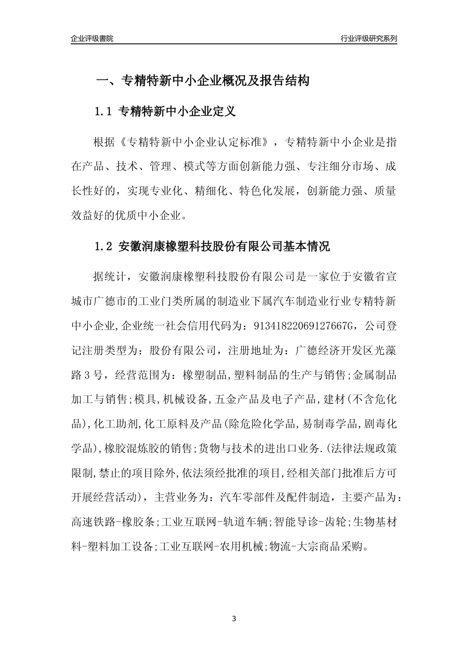 [专精特新]安徽润康橡塑科技股份有限公司行业竞争力评级分析报告(2023版)_第3页