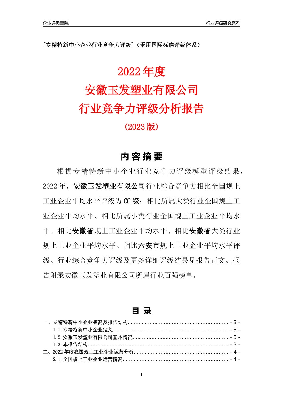 [专精特新]安徽玉发塑业有限公司行业竞争力评级分析报告(2023版)_第1页