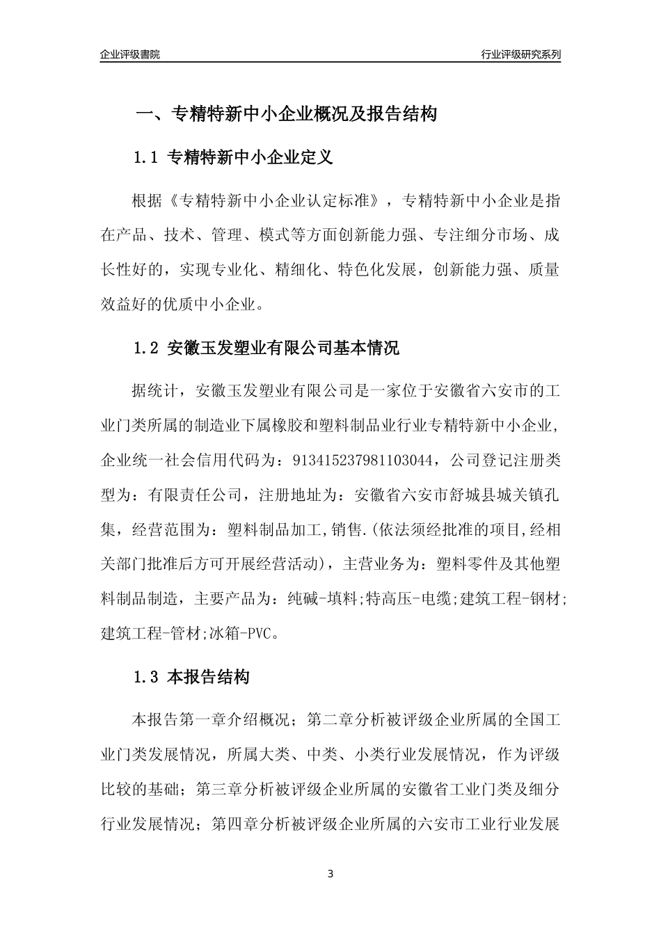 [专精特新]安徽玉发塑业有限公司行业竞争力评级分析报告(2023版)_第3页