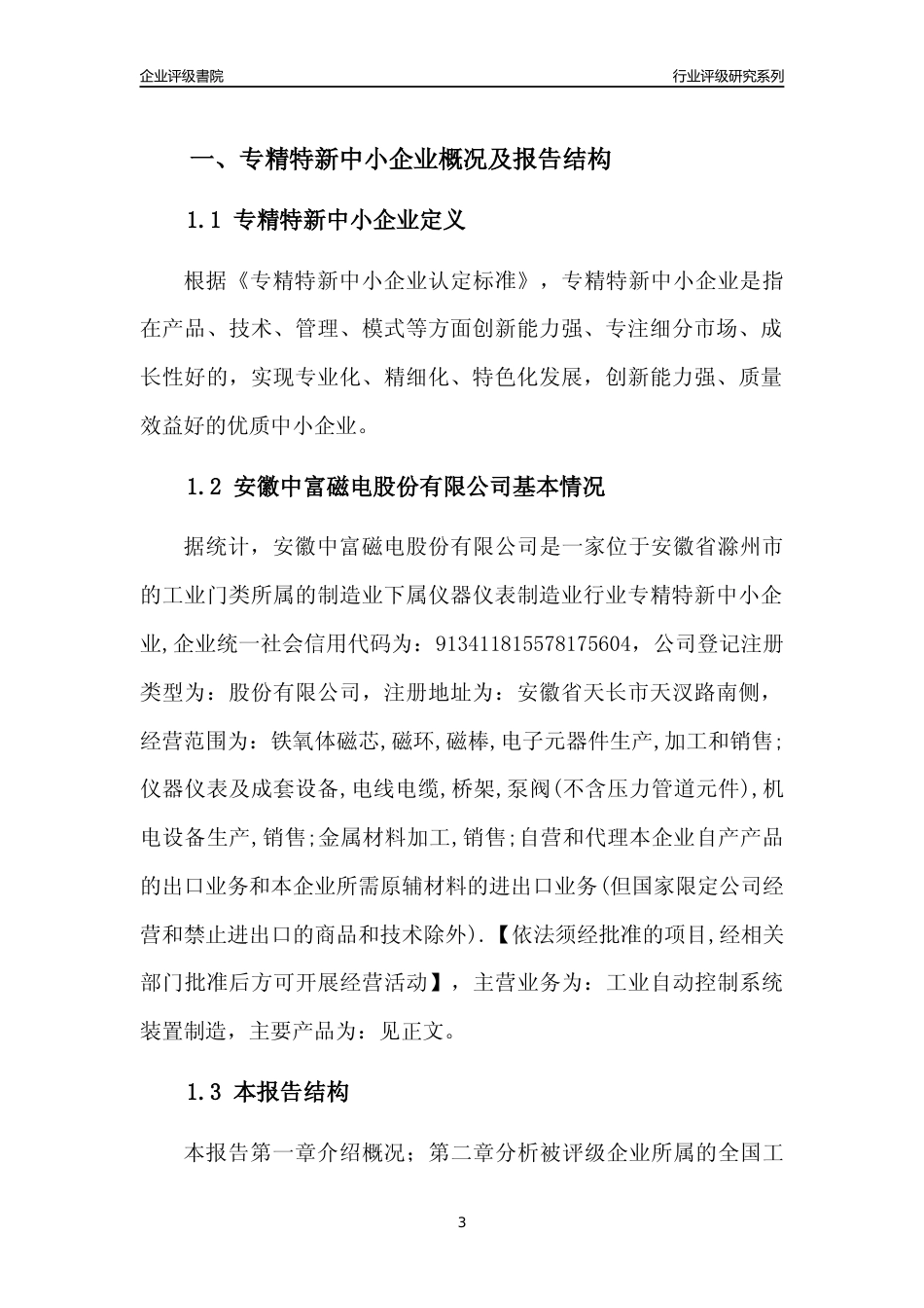 [专精特新]安徽中富磁电股份有限公司行业竞争力评级分析报告(2023版)_第3页
