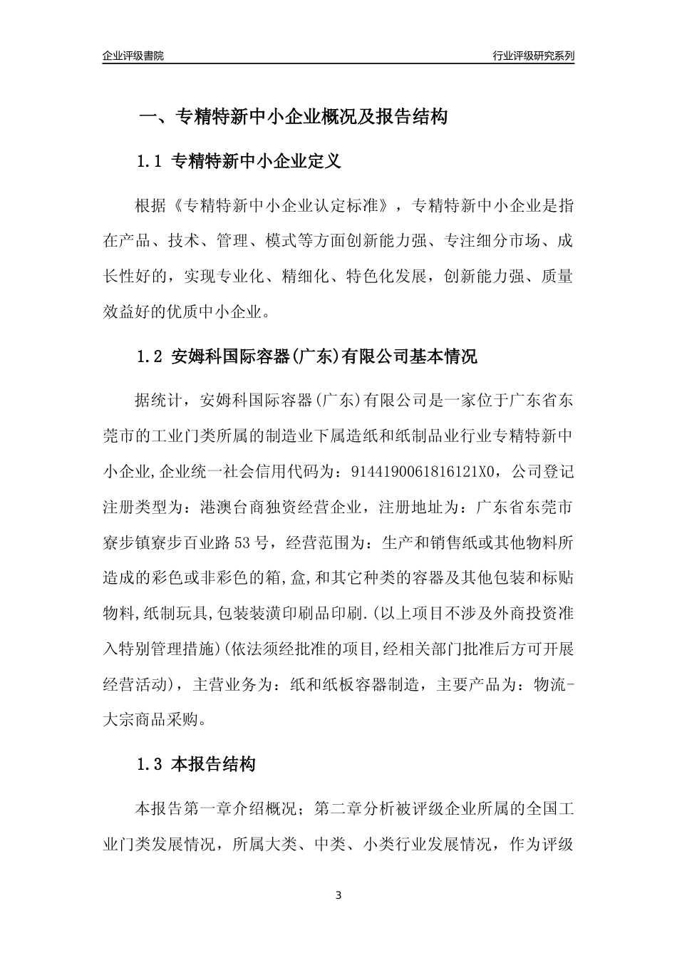 [专精特新]安姆科国际容器(广东)有限公司行业竞争力评级分析报告(2023版)_第3页