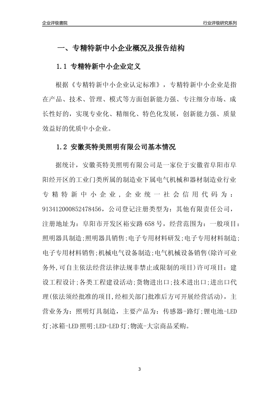 [专精特新]安徽英特美照明有限公司行业竞争力评级分析报告(2023版)_第3页