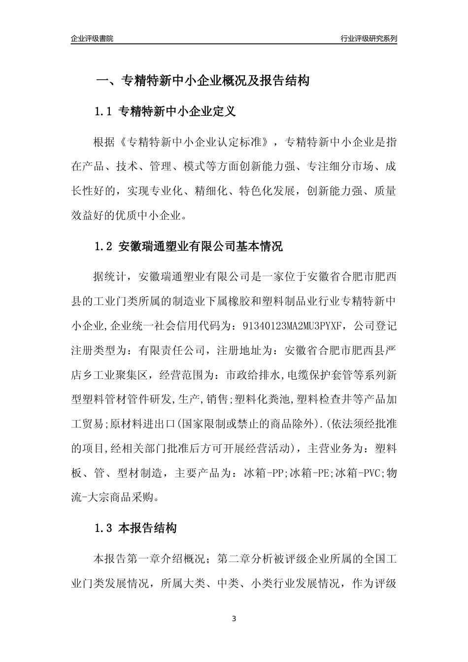 [专精特新]安徽瑞通塑业有限公司行业竞争力评级分析报告(2023版)_第3页