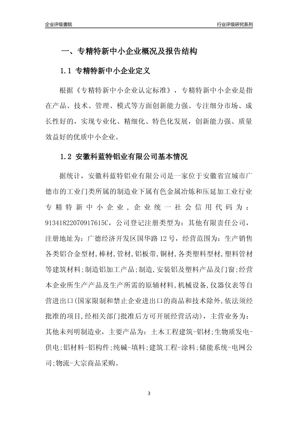 [专精特新]安徽科蓝特铝业有限公司行业竞争力评级分析报告(2023版)_第3页